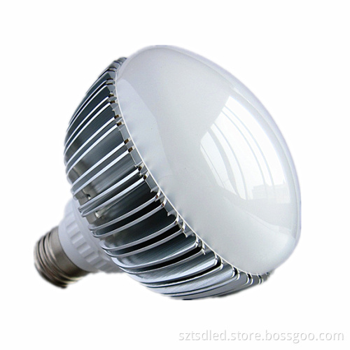 9x1W High Power LED Bulb (TD-XGBW9-03)